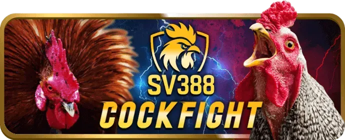 Hỗ trợ khách hàng HY88